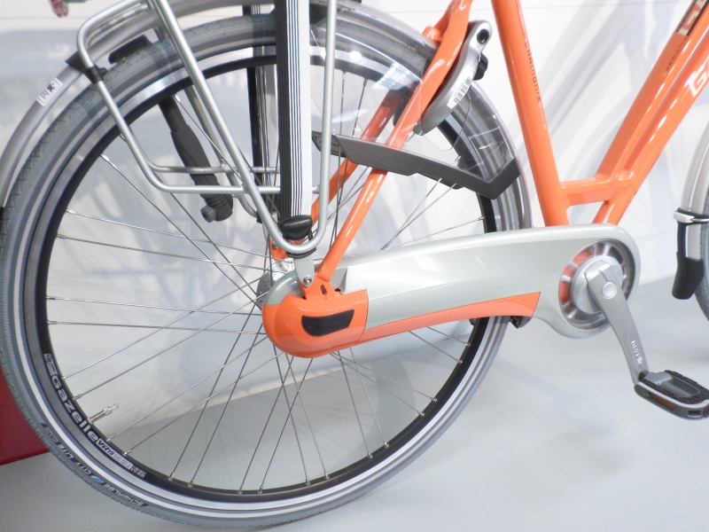 gazelle oranje